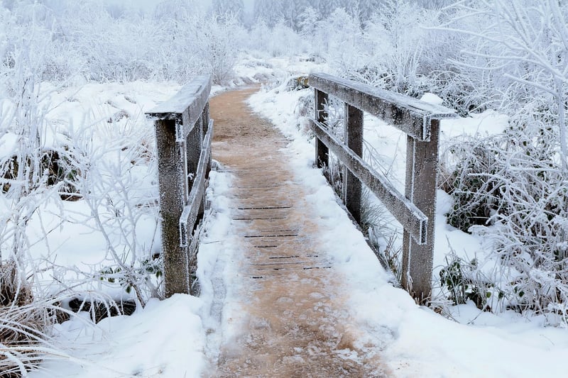 Dreamlike Garden Pathway