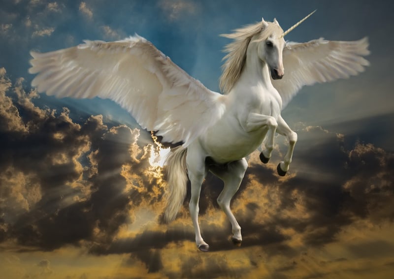 Unicorn Haven